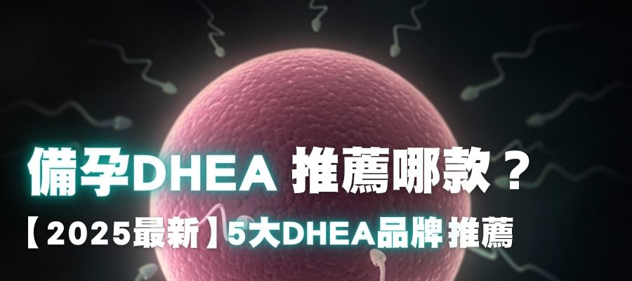 2025最新【DHEA推薦品牌】5大品牌總整理，卵巢早衰、高齡備孕吃哪款？